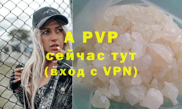 амф Вяземский