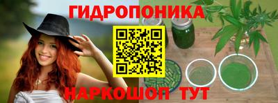 шишки Бийск