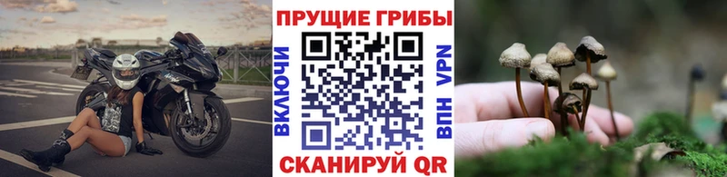 Галлюциногенные грибы Magic Shrooms  Можайск 