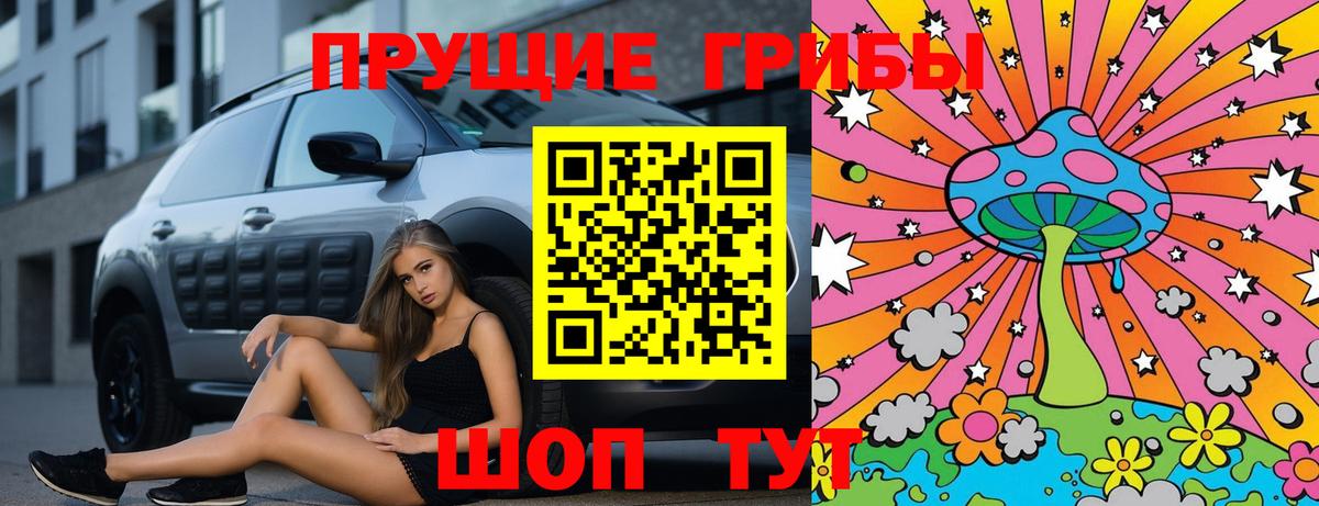 Псилоцибиновые грибы GOLDEN TEACHER Можайск