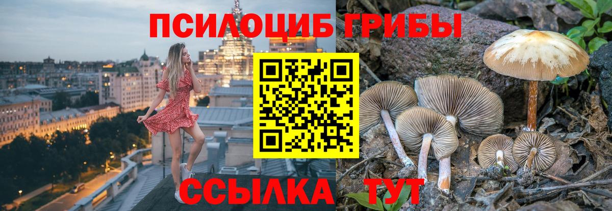 Галлюциногенные грибы мухоморы Можайск