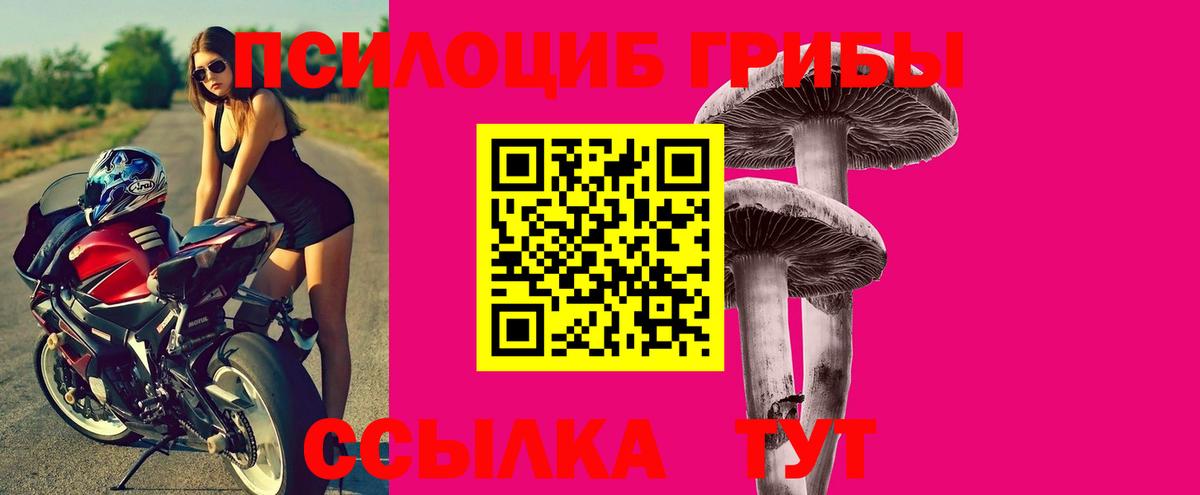 Галлюциногенные грибы мухоморы  Галлюциногенные грибы Psilocybine cubensis  Можайск  Вход с VPN 