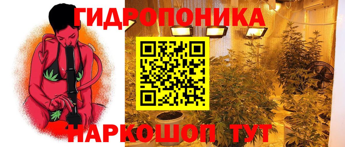 Бошки Шишки OG Kush Можайск